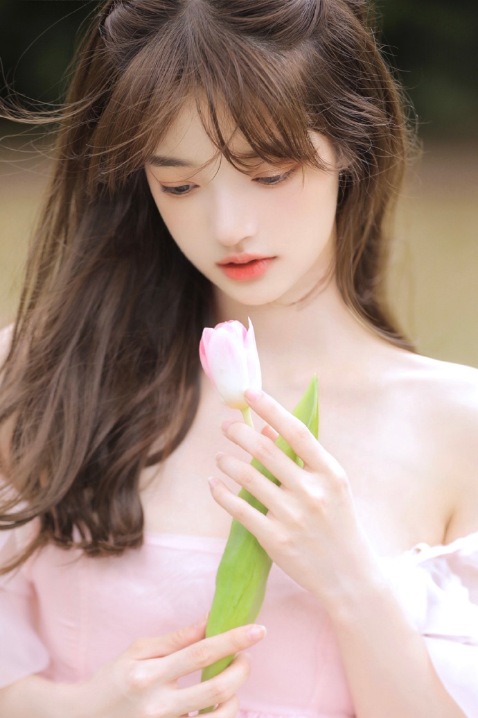 风骚律师 封面